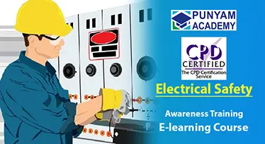Electrical Safety For  Work Place Training