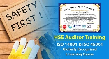 HSE Auditor Training - Online Course